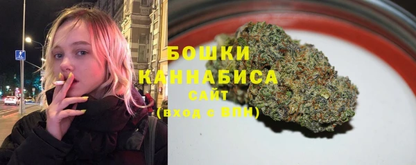 не бодяженный Заводоуковск