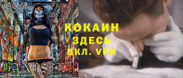 не бодяженный Заводоуковск