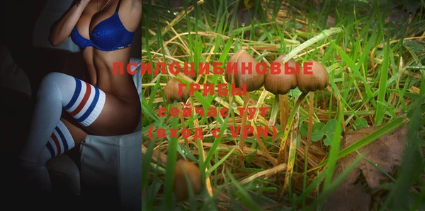 ALPHA-PVP Заволжье