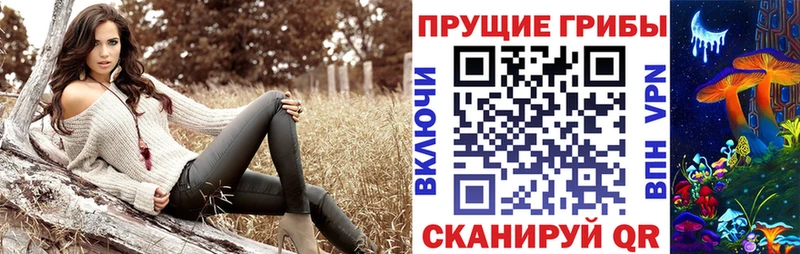что такое наркотик  Питкяранта  Галлюциногенные грибы Cubensis 