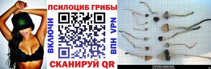 Псилоцибиновые грибы MAGIC MUSHROOMS Питкяранта
